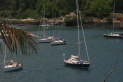 Thumbnail for Jackal at Anchor